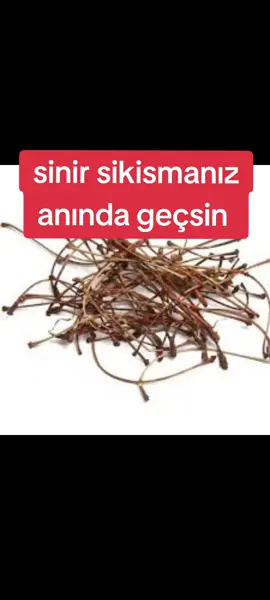 sinir sıkışması probleminde rahatsızlığından anında kurtulun #sağlık #doğalçözüm #doğal #ibnisina #bitkisel #bitkiseltedavi #kiraz #kirazsapı #sinirsikismasi #bitkiselkürler #şifa #sifalibitkiler 