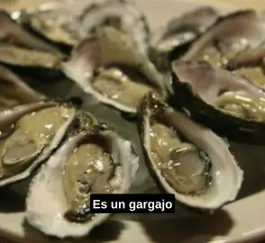 What are some things people SAY they like but REALLY don’t? We’ve got our thoughts in Ep 286, live now on all podcast platforms (links in bio) #podcast #beatles #kombucha #oysters #shakespeare