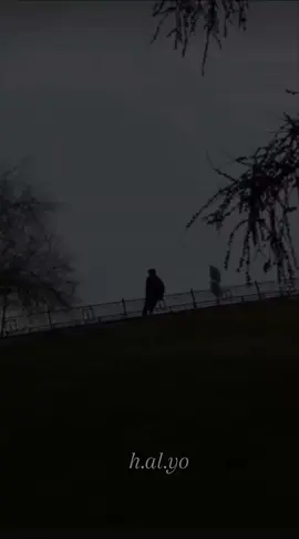 بدون موسيقى  #viral #fypシ #foryou #tiktok #foryoupage  #flowers #story #fyp #ستوريات 