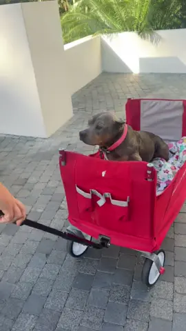 @Miss Peaches said thanks but no thanks 