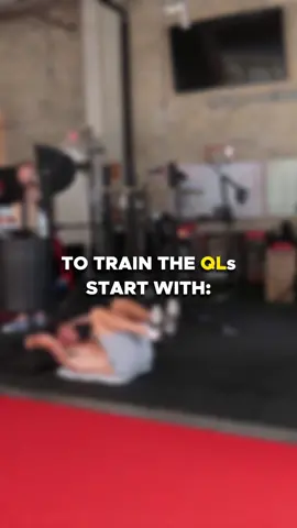 Train the core! But the real core… Not just the 6 pack abs that we all have trained plenty already. Things changed for me once I viewed the core more comprehensively. I see it like a 360 barrel, with inner and outer layers, and even a ceiling (diaphragm) and a floor (pelvic floor). True protection will come from training all of the core. Front, back, sides… Youtube video with a full Core Workout out now on Low Back Ability channel! #sijoint #lowbackpain #hipmobility #training #lowback #squat #posture #lowbackability #lowbackpainrelief #hipmobilityexercise #backtraining #injuryprevention #strength #ability #lowbackmobility #backpain #Fitness 