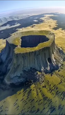 The giant trees of the ancient world. The massive Ancient Forest. #flatearth #gianttree #gianttrees #ancientworld #ancienthistory #questioneverything #tree #deviltower #lie #truth #fyp  #arbresgeants #arbre #viral 