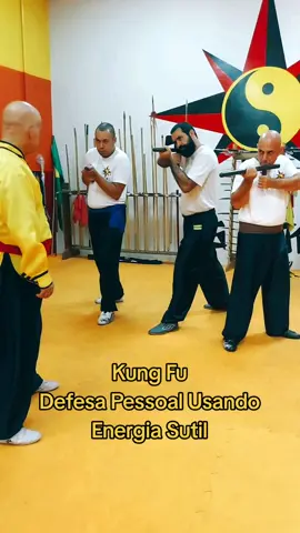 #tskf #kungfu #kungfuadistancia #kungfuonline #wushu #louvaadeus #artemarcial #artesmarciais #shaolin #chikung #camisadeferro #humor 
