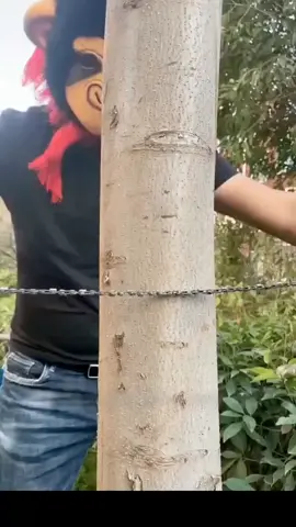 Mini pocket-sized chain saw.  #campinggear #campingessentials #survivalgear 