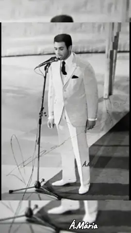 Talán sok év után Szécsi Pál #szécsipál #foryou #foryoupage #fypシ゚viral 