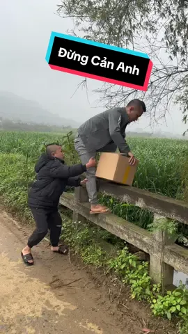 Khâu trang 5D rẻ Như Thế Này Anh Chị Nhanh Tay Vào Đặt Hàng Đi ạ#tammaotv #khautrangthinhphat #khautrang 