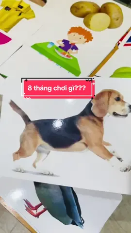 8 thang cho be choi gi ?#cohoaidochoi #thehocthongminh #dochoichobe #embe #bonkhongrang 