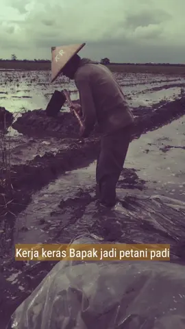 Puluhan tahun menjadi petani padi..