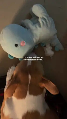 I was so excited to get him this dino plushy & he decided only one of them could be the cutest 😭😭  #tiktokshopping #dogmom #puppytok #dinoplushie 