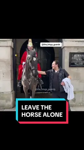 Absolutely DISGRACEFUL. He keeps provoking this poor horse. He comes up and touches the horse 7 times. Horse’s had enough and wants to FIGHT BACK.  #horseguardsparade #changingoftheguards #thekingsguards #horse #foryoupage #tiktokviral #tiktokbeta #fyp #foryou #fypシ #fanpage #tourists #London #trending #tiktokuk #London#trending #follow #subscribe #like #share #disgraceful 
