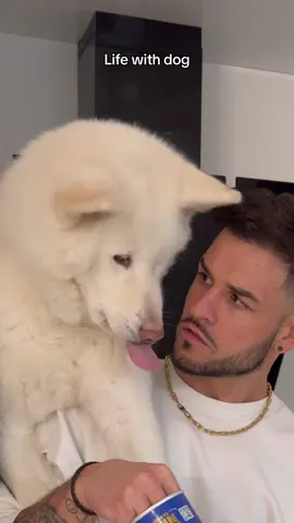 🐻‍❄️: chyba nie próbowałeś tego zjeść beze mnie…? Ig: seweryn_kielpin