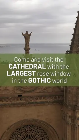 Conocida como 'La Seu', La Catedral de Mallorca, es una joya gótica que se encuentra sobre las antiguas murallas romanas y renacentistas de la ciudad, ofreciendo una vista única e inolvidable.¿Estás listo para explorar la grandeza de La Seu?  * Known as “La Seu”, Mallorca's cathedral is a Gothic gem that sits atop the city’s ancient Roman and Renaissance walls, offering visitors an unforgettable view. Why not pay the site a visit and explore the grandeur of La Seu? #Mallorca #mallorcaisforyou #mediterranean #visitmallorca
