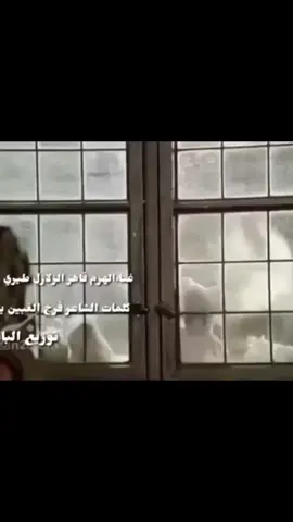 #ستوريات_حالات_نور_النجم 