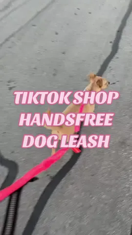 Im completely obsessed with being able to be #handfree and walk my dog at the same time!! The #TikTokShop did it again!! & the colors are so prettyyy!! Definitely ordering her another #handsfreeleash 💖 #dogsoftiktok #doglover #dogaccessories #dogmusthaves #dogmomlife #handsfreedogleash #tiktokmademebuyit #letsgoforawalk #GRWM #tiktokmusthaves 