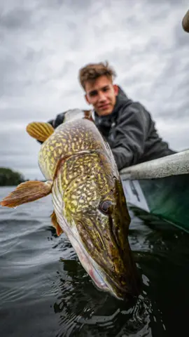 what a view... #angeln #angler #harzfishing #fishing #fishinglife #fishingtiktoks #pikefishing #hecht #hechtangeln 