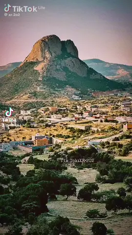 #بني_عمرو#ابطال #جنوب #السعودية