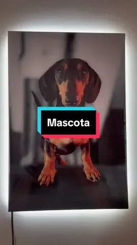 Como va gente, una ves mas les traemos un cuadro intervenido con resina y neon led, este caso de 30x45cm con la imagen de un salchica🐶🥰🥰 Recuerden que toda la info la podes encontrar en nuestro instagram🤪😝 #CapCut #CapCut #resina #neon #pyfツ #vira #perro #perrosalchicha 