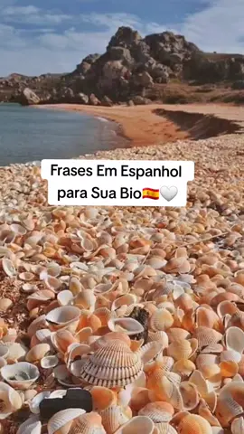 #frases #frasesparabio #bio #biografia #espanhol #frasesemespanhol @Frases&Proverbiosofc @Frases&Proverbiosofc 