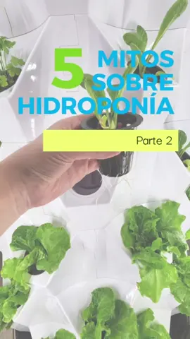 5 mitos de la Hidroponía 💧🌱 #hidroponia #hidroponico #EcoFriendly #cuidar #planeta #ahorrodeagua #sustentable #chile #santiago #biobio #maule 