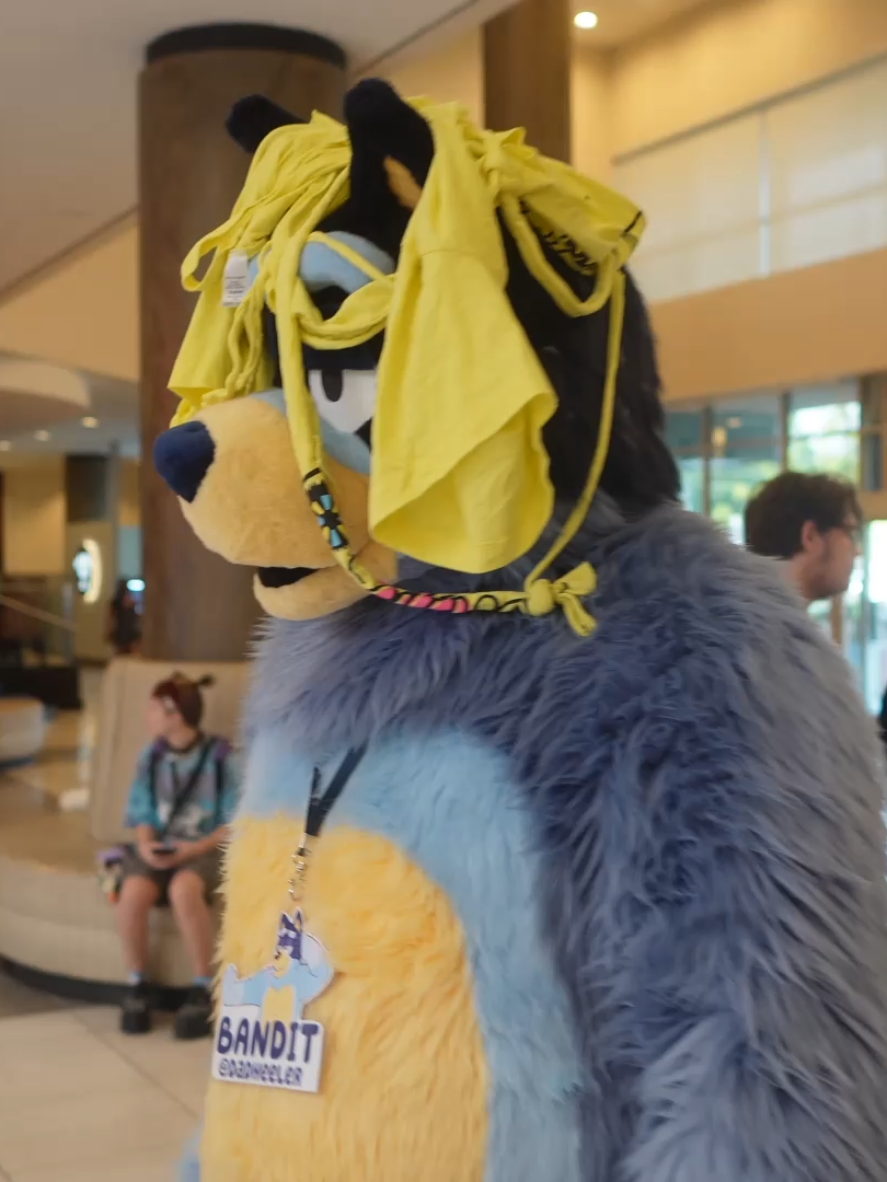 YOU HAVEN'T SEEN BANDIT HEELER LIKE THIS BEFORE | Best of: ACFI 2023 #tiktok_collaboration #TikTok_Collaboration #longervideos #longervideosontiktok #furry #fursona #fursuit