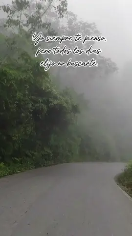 #meelijo #tepienso #notebusco 