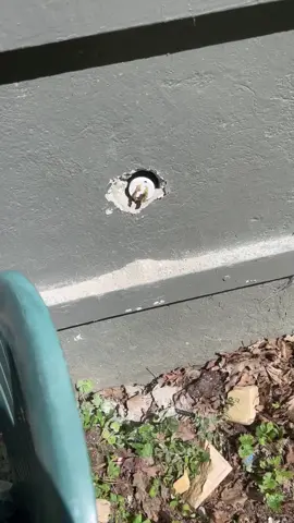 Ummm… what the f$&* #fyp #fypシ #DIY #fail #homeowner #electrician #build #construction #wow #OhNo #inspectiontherapy #inspectedrejected #inspectedaccepted #electrical #Home #realestate 