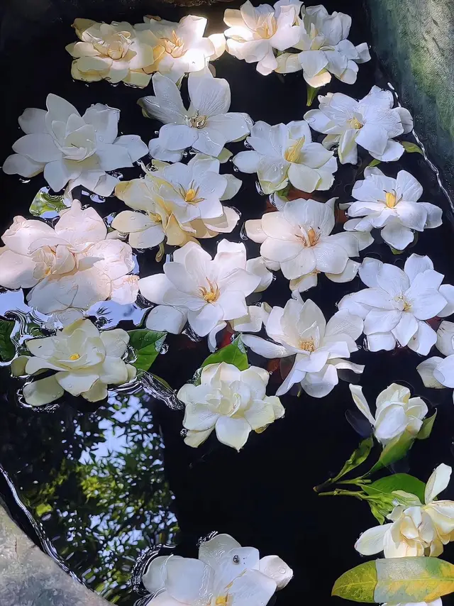 Đừng làm xáo trộn 