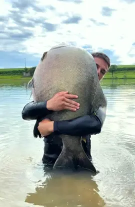 #usa #omg #fishin #fisherman #comeonfishy #crazyfish #fishing #fishcontent #fypシ #fyp #sea #titkok #bigfish #fishinglife #gofishing 