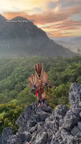 Keindahan Tarian Burung Enggang Dayak  #fyp #fypシ #fypシ゚viral #fypppp #dayak #borneo #burungenggang #taridayak #putrakalimantan #panglimaburung #pasukanmerah 
