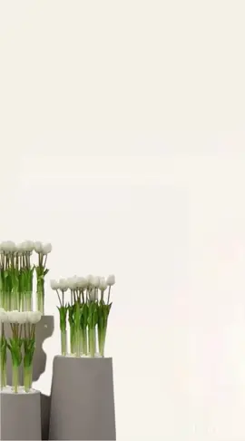 ياحلو بيتٍ تدشينه و تبنينه 🤍🤍. تصميم تبريك للمنزل الجديد 