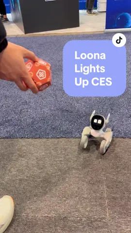 Loona can light up any room with her antics! She was great to see at CES 2024! ​@KEYi Tech @LoonaRobotShop  #loona #loonarobot #ces #ces2024 #keyitech #robot #fetch