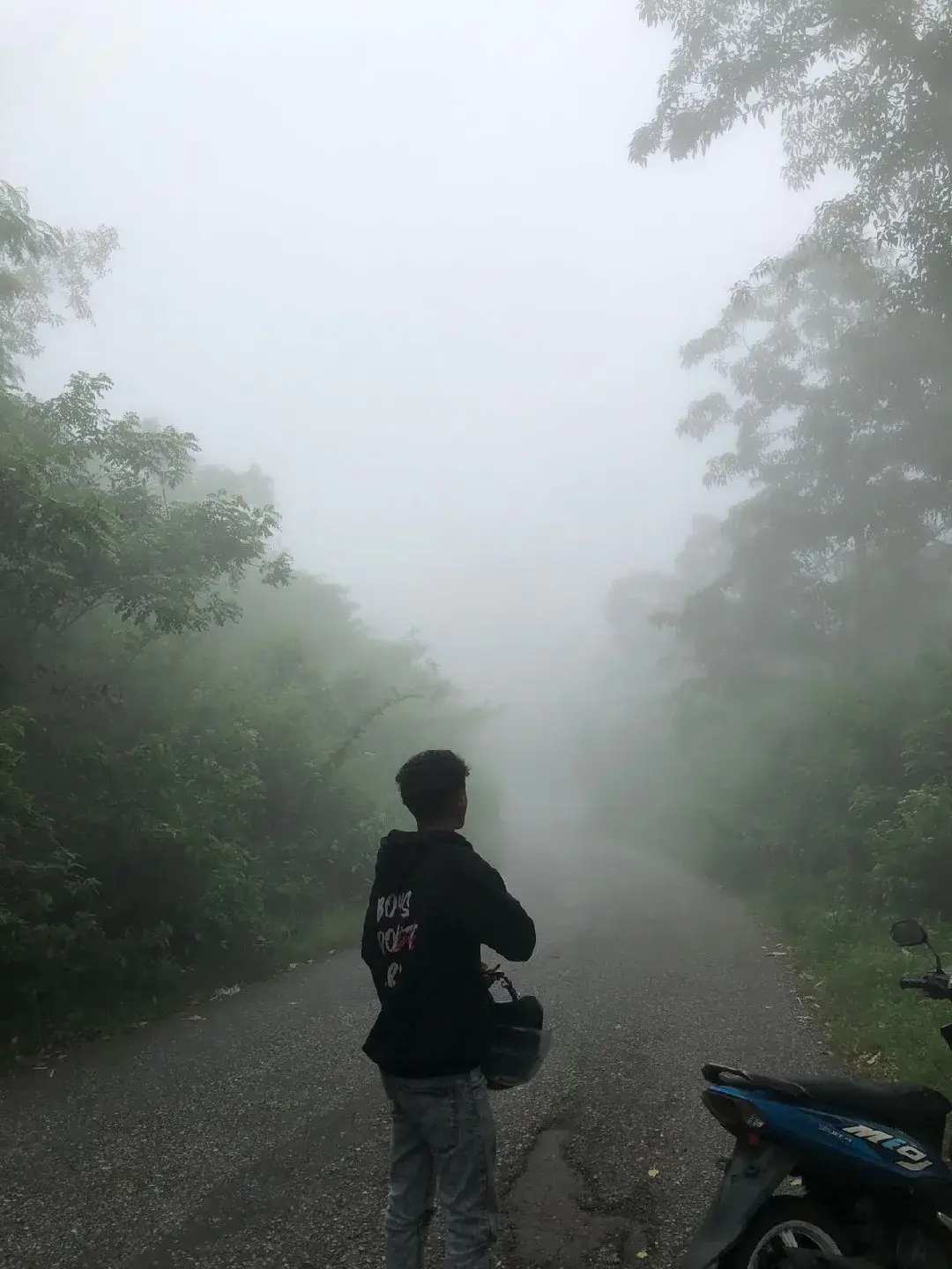 🍃
