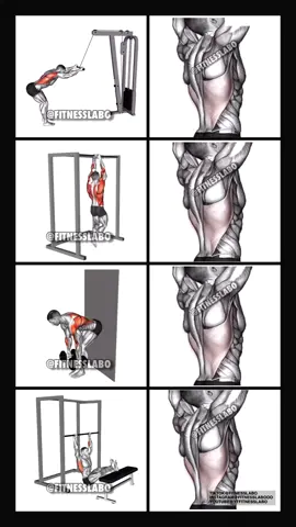 How to get a wider back  #workout #backworkout #bodybuilding 