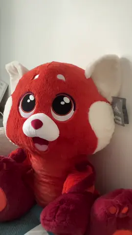 #peluche #peluchedisney #bigfeet #disney #disneylandparis #waltdisneyworld #waltdisney #collections #addicted @Disneyland Paris ✨ @disneyworld 