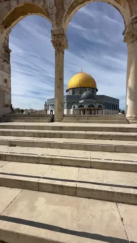 صلاة الجمعة في المسجد الأقصى المبارك هذا اليوم  #الأقصى #فلسطين #القدس #alaqsa #palestine #jerusalem