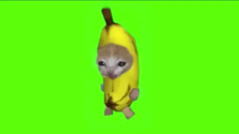 走るバナナキャット#猫ミーム #素材 #猫マニ 