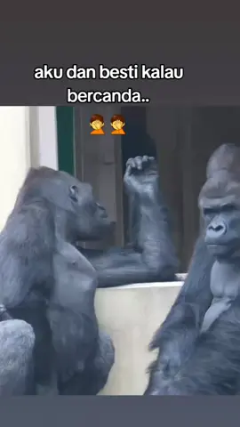 #aslamualaikum #hiburan #fypシ゚viral 