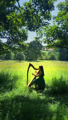 Who else is looking forward to summer? 🌼🌸🌳 #harp #harpist #celticharp #englishcountryside #irishmusic 