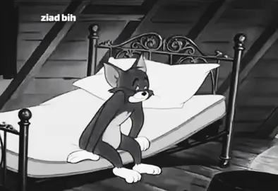 تفكيري كل يوم قبل ما انام #مصر🇪🇬 #توم_وجيري #ziad_bih #الاردن #قطر #السعودية #رمضان_يجمعنا #ترند #زياد  #احلامي_باختصار🥺 😅😅