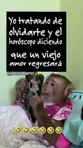 #lolinaharro #gracioso #estado #viral #funny #enparatii #chiste #chistesgraciosos #dedicar #estados #fyp #meme #fyp #