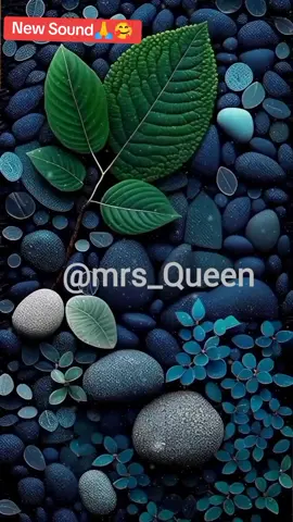 #newsounds #foryou #arewapeople #fyyyyyyyyyyyyyyyy #viralvideo #myfavoritesong #shirutarabakadakowalafiya @aseeyah @CASH BOY @EVE's kingdom @elbasheer215443 @Umar m shareef fan page @Sale Mb ali @Ummzee💖💞 