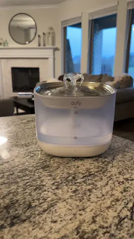 Whether you have a dog or cat, this #dogwaterfountain #carwaterfountain is awesome and works really good for either pet! #eufypetwaterfountain #eufypetfountain #TikTokSpringSale #Kahlatalk #Kahlatech #kahlaDeals 