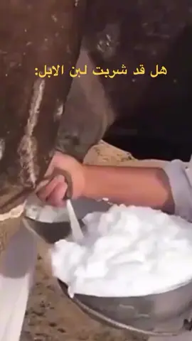 ياحليب الناقه#ياحليب_الناقه #شيله #طرب 