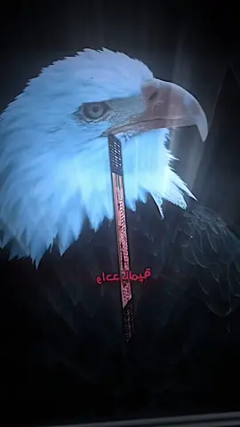 ‏الشيخ وليد السناني أنا لا تراجع عنده الحل حتى لو واحد% .          ##وليد_السناني ##صالح_الفوزان##اسلام##اسلاميات##لا_اله_الا_الله##مقاطع_دينية #خواطر #مواعظ #المصمم_راكان #islam 