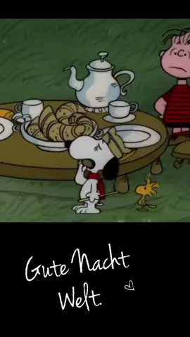 #goodnight #gutenacht #friday #weekend #snoopy #laughing #night #evening #happyweekend #nice #lol #funny #fyp #feeling #lustig #spass #smile #sweet 