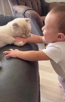 @Funny videos @Funny videos  @Funny videos #cute #cats #kids #baby #fyp #duet #foryou #fypシ #viral #like #friends #Love #family #funny #cutebaby #animals #dog 