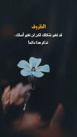 الظروف قد تغير شكلك لكن لن تغير أصلك، تذكر هذا دائماً . . . #اقتباسات #إقتباساتي #عبارات #حكم #اقوال #حكمة_اليوم #اكسبلور #viral #viralviva #Explore#الشعب_الصيني_ماله_حل😂😂 