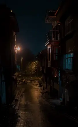 🎶Ebru - ben ne yangınlar gördüm..         #fyp #fyp #fyp #fyp #fyp #fyp #fyp #viral #viralvideo #foryoupage #اغاني_تركية_مترجمة #اغاني_تركية #fypシ #تركيا 