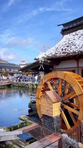 The famous Oshino Hakkai (8 ponds) of Yamanashi. It looks differently on winter ❄️ #winter #japan #oshinohakkai #japantravel 