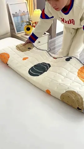 Bộ ga gối 3 món trần bông Chỉ hơn 100k#bogagiuong #bogagoi #gagoitranbong #thinhhanh2024 #trend #xuhuong 